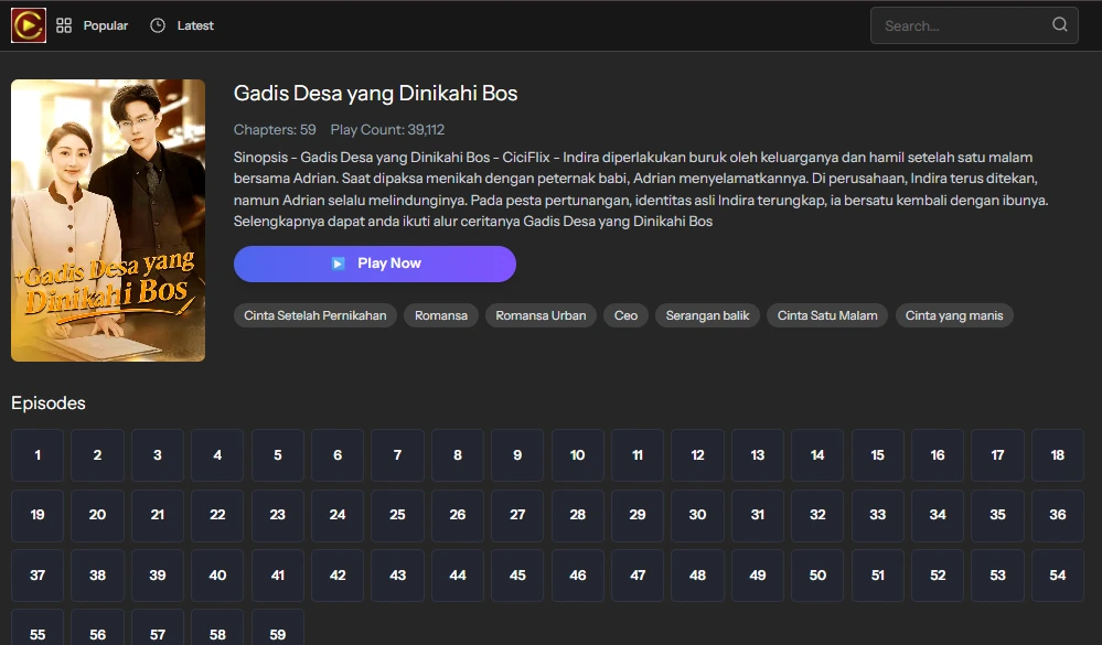 Gadis Desa yang Dinikahi CEO - sinopsis