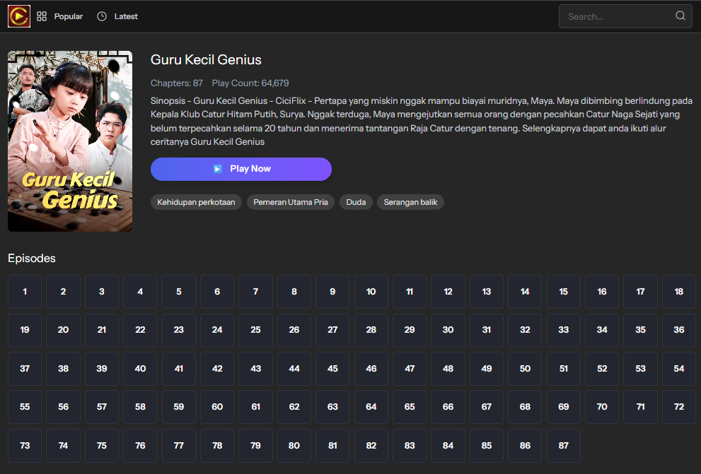 Guru Kecil Genius - sinopsis