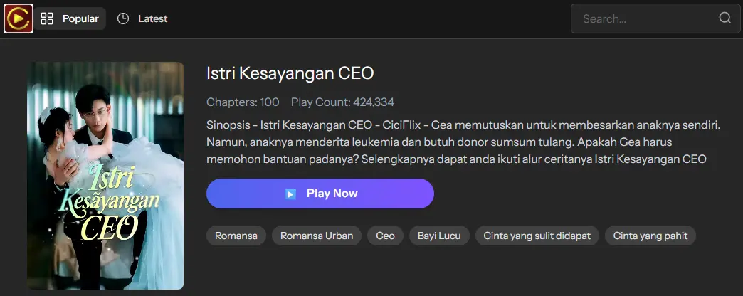 ISTRI KESAYANGAN CEO - Sinopsis