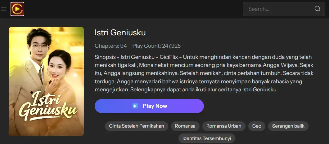 Istri Geniusku - Sinopsis