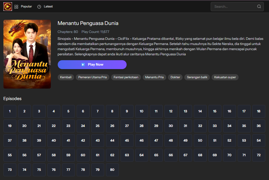 Menantu Penguasa Dunia - sinopsis
