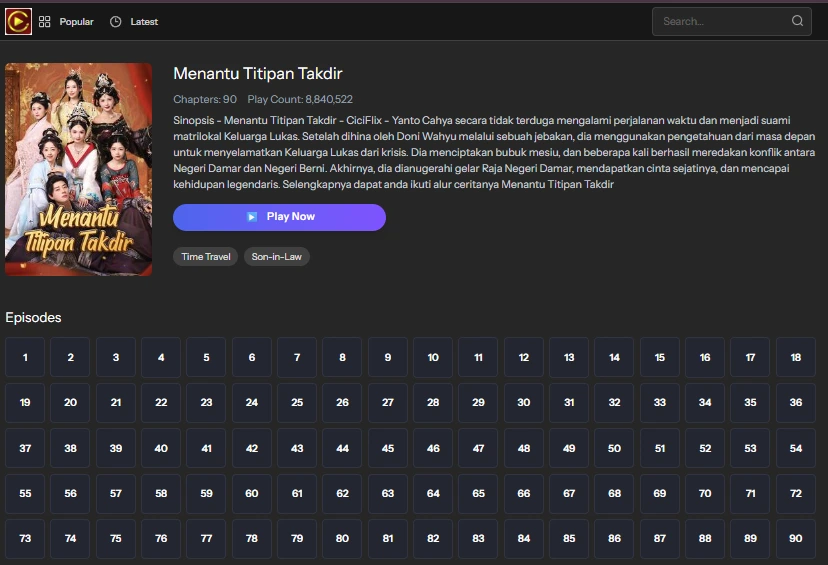 Menantu Titipan Takdir - sinopsis
