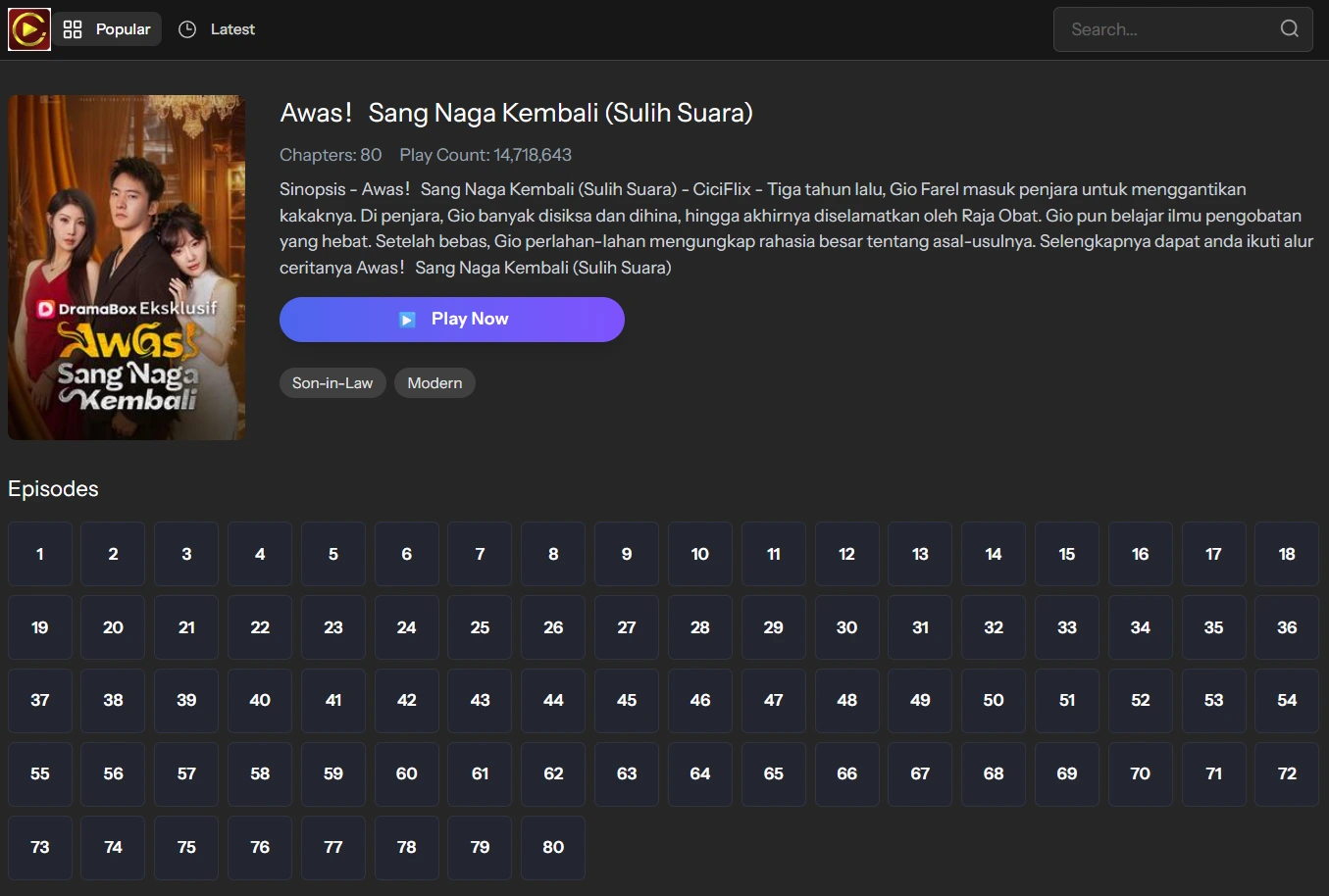 Awas! Sang Naga Kembali - sinopsis